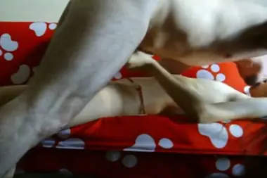 Skandal Prostitusi ABG Jakarta Terekam Jelas 2026